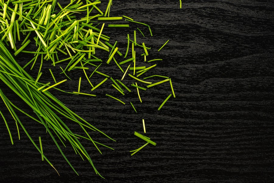 Fresh Chives Table Top Isolated On Black Wood Background Grass-like Leaves Fines Herbes